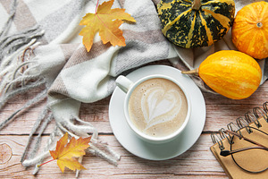 Autumn decoration with coffee cup, pumpkins, and a warm blanket, a Food & Drink Photo by Olena Rudo