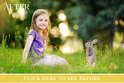 Spring Bunnies photo overlays, an Object Graphic by BrownLeopard (Thumbnail 4 of 6)