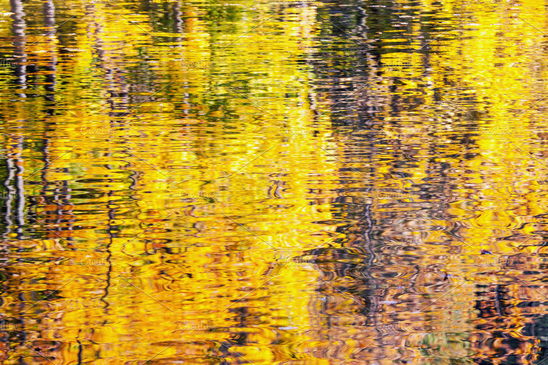 Golden autumn water reflection, a Nature Photo by BOOCYS