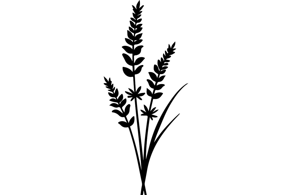 Decorative Tribal Feather Vector, an Object Graphic by Designer_Momina (Photo 15 of 18)