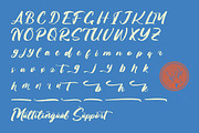 Skanika Bold Handwritten Font, a Script Font by Letterena Studios Script (Thumbnail 17 of 20)