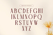 Woaster - Luxury Display Font, a Serif Font by Flawless And Co (Thumbnail 10 of 10)