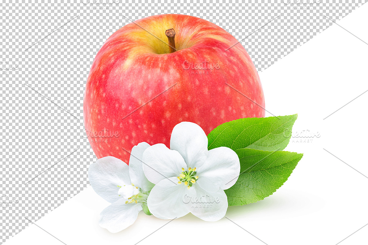 Isolated red apple and apple blossom, an Object Graphic by Fruits+Veggies (Photo 2 of 4)