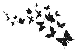 Abstract the butterfly7