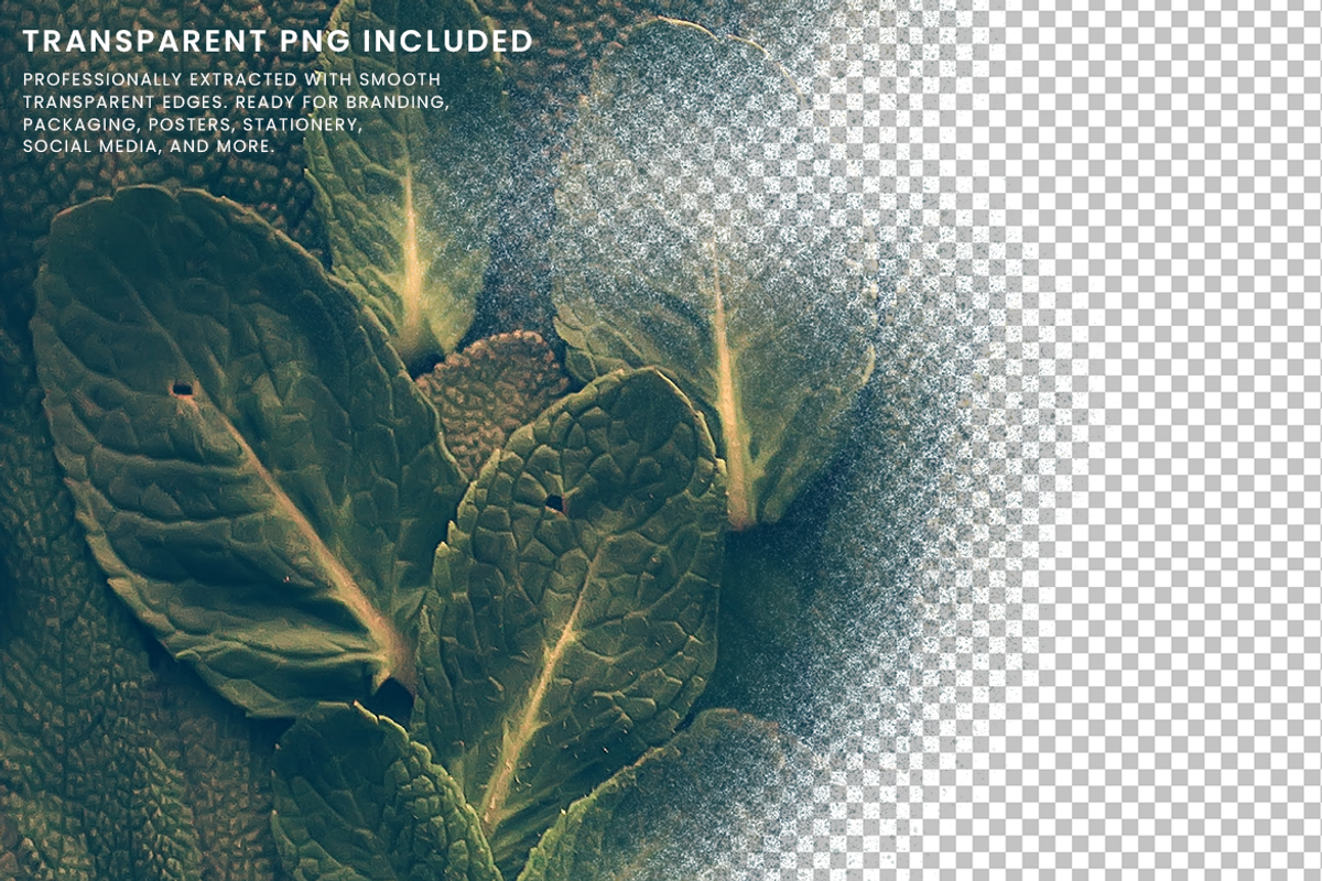 Realistic Spray Paint Mist Texture, a Texture Graphic by Ary_ngeblur (Photo 6 of 8)