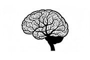 Brain Tree Knowledge Design Bundle, an Illustration by Gaye Art (Thumbnail 9 of 31)