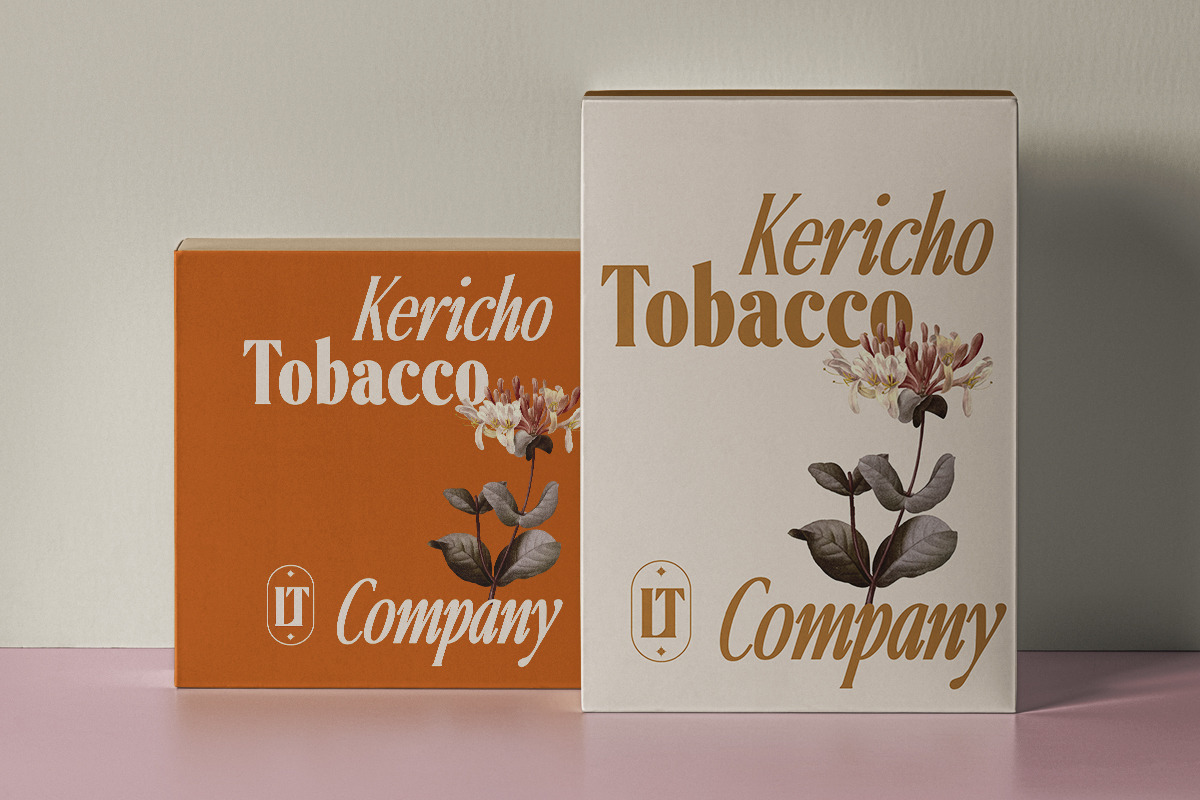 Ten Twenty Family (18 Fonts), a Serif Font by Positive TypeFoundry (Photo 15 of 15)