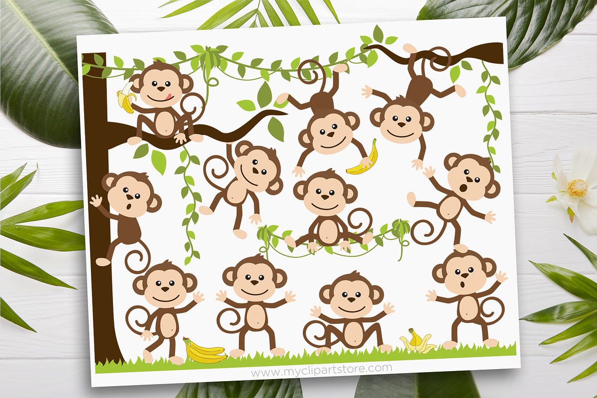 Monkey Clipart, Jungle, SVG, an Animal Illustration by MyClipArtStore (Photo 1 of 4)