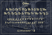 Gitanes, a Script Font by Larin Type Co. (Thumbnail 10 of 10)