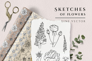 Sketches Of Flowers Line Vector