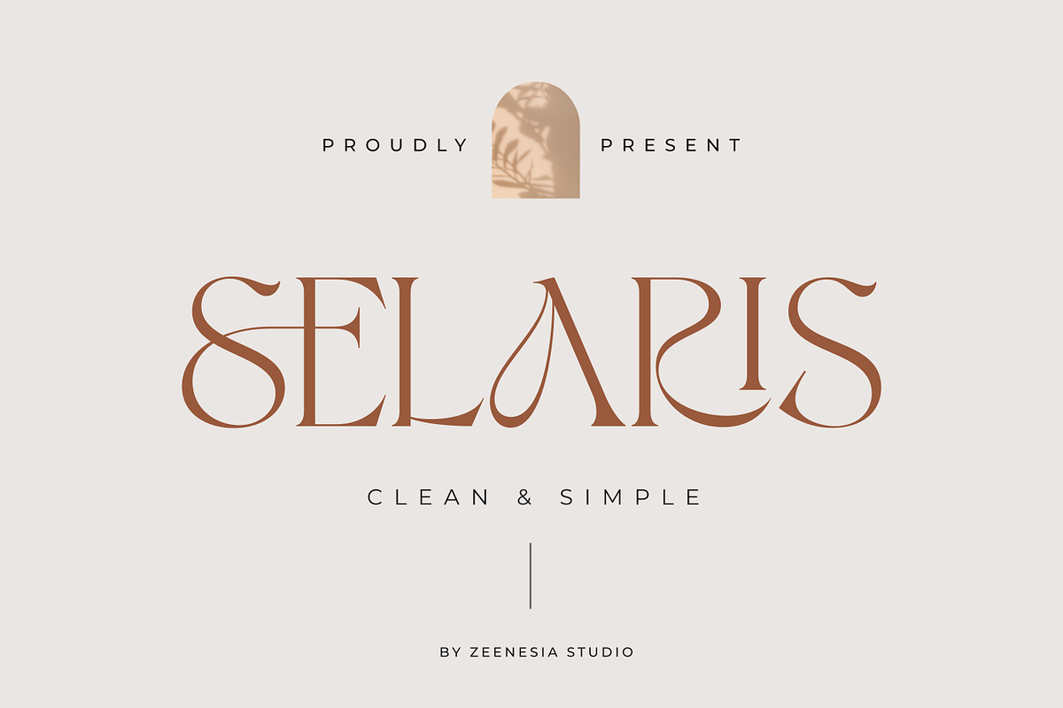 Selaris Modern Serif, a Serif Font by zeenesia (Photo 1 of 16)