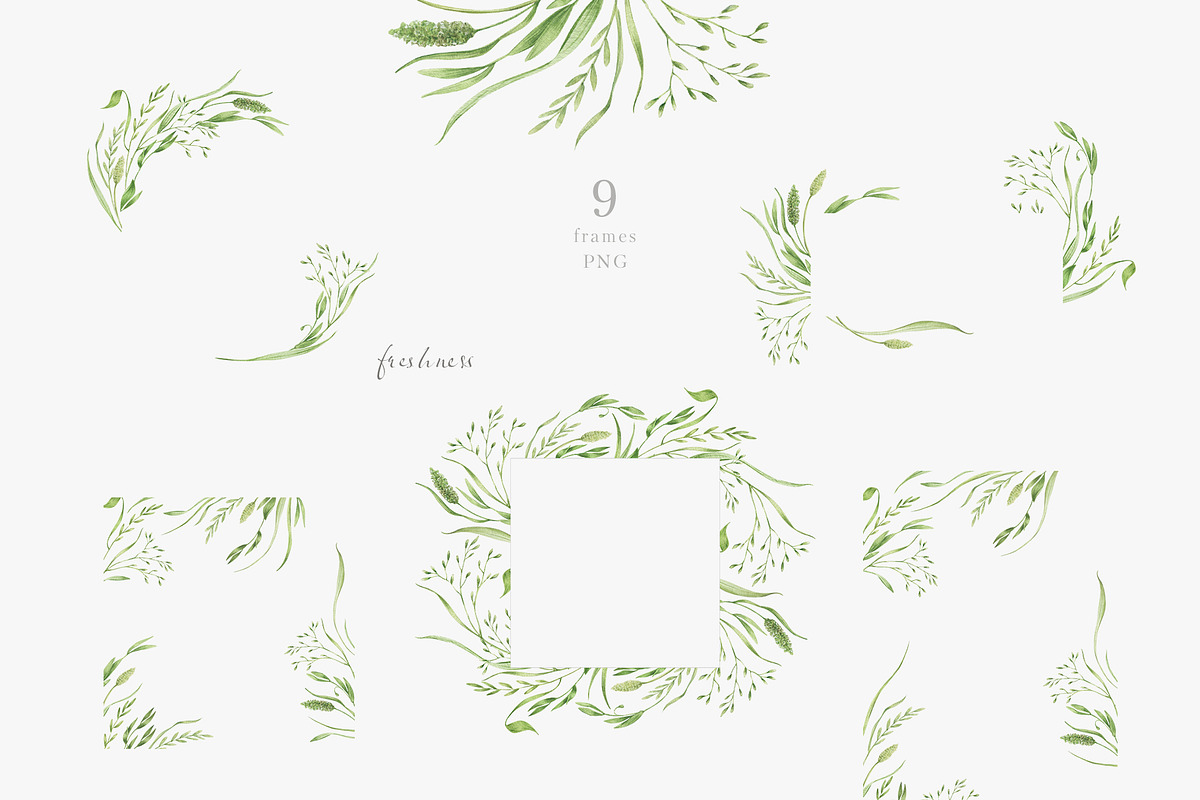Wildflowers, poppies and herbs, a Food Illustration by astelenadesign (Photo 9 of 19)