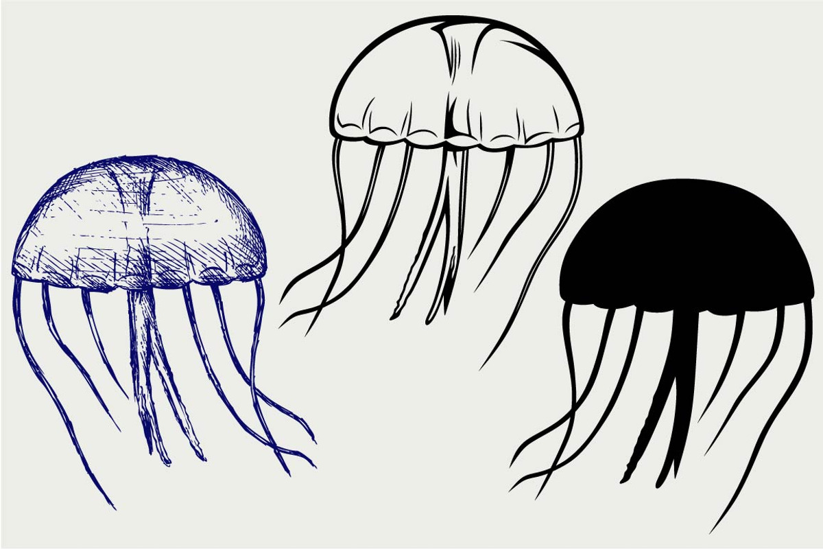 Jellyfish SVG, an Outline Icon by LineworkStock