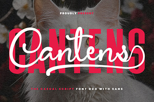 Cantens Casual Script Font Duo, a Script Font by Maulana Creative