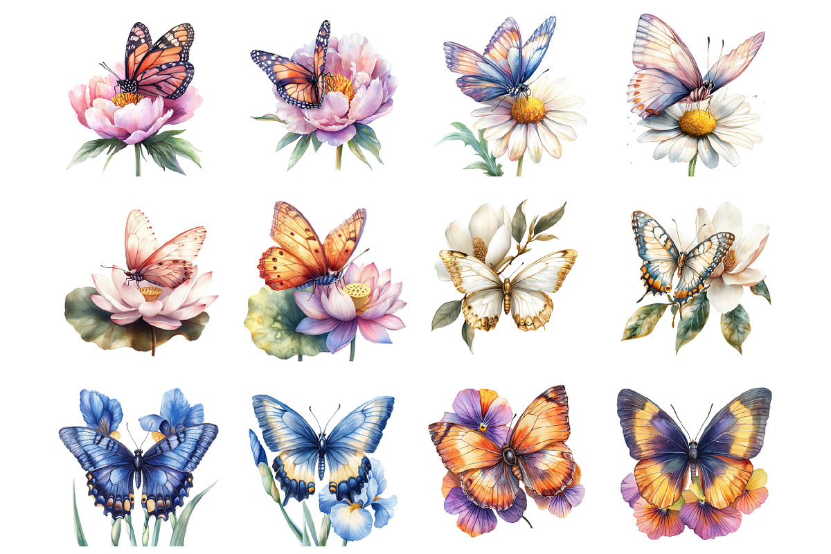 Butterfly Flowers Clipart, an Illustration by Design Market (Photo 3 of 4)