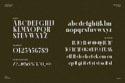 Cellgin Elegant Ligature Serif Font, a Serif Font by Perfectype (Thumbnail 6 of 6)