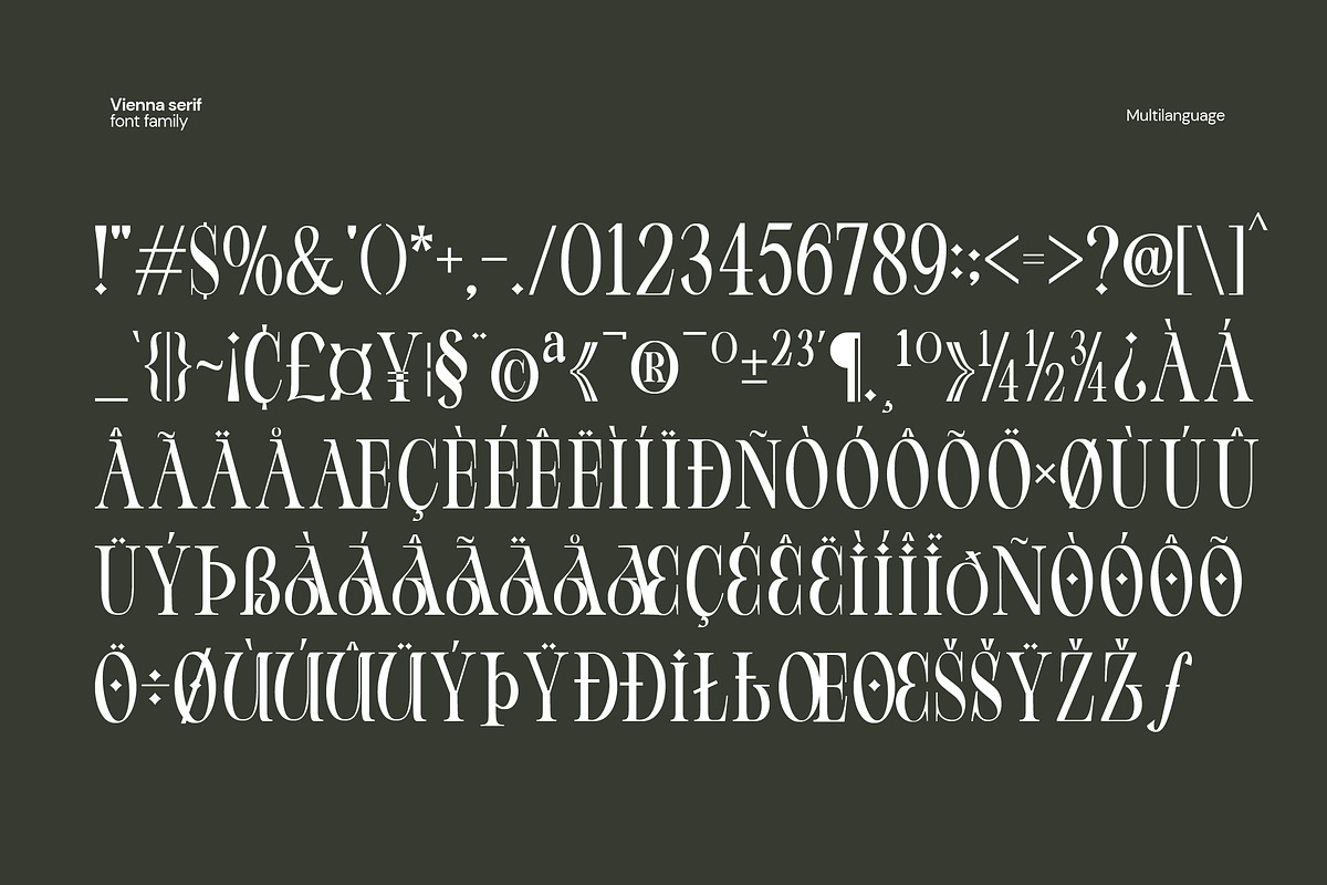 Vienna Modern Serif Font, a Serif Font by Fortunes Co (Photo 11 of 15)