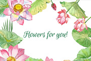 Lotus Flowers, an Illustration by Nataliapiache (Thumbnail 3 of 4)
