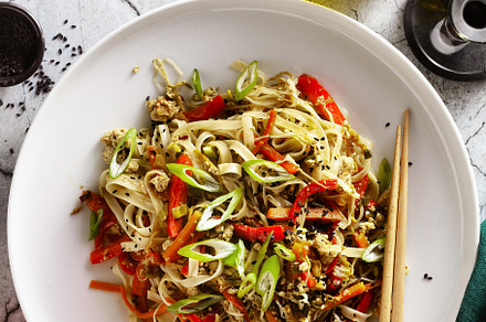 vegan pad thai rice pasta with vegetables and tofu on gray concr, a Food & Drink Photo by IriGri