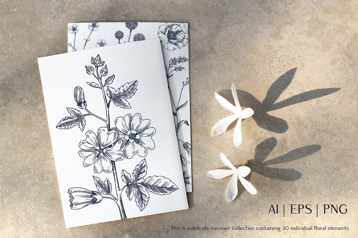 Vector Animals & Summer Flowers Set, a Seasonal Illustration by Yevheniia (Photo 2 of 14)