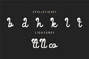Valldom, a Script Font by And Studio (Thumbnail 10 of 10)