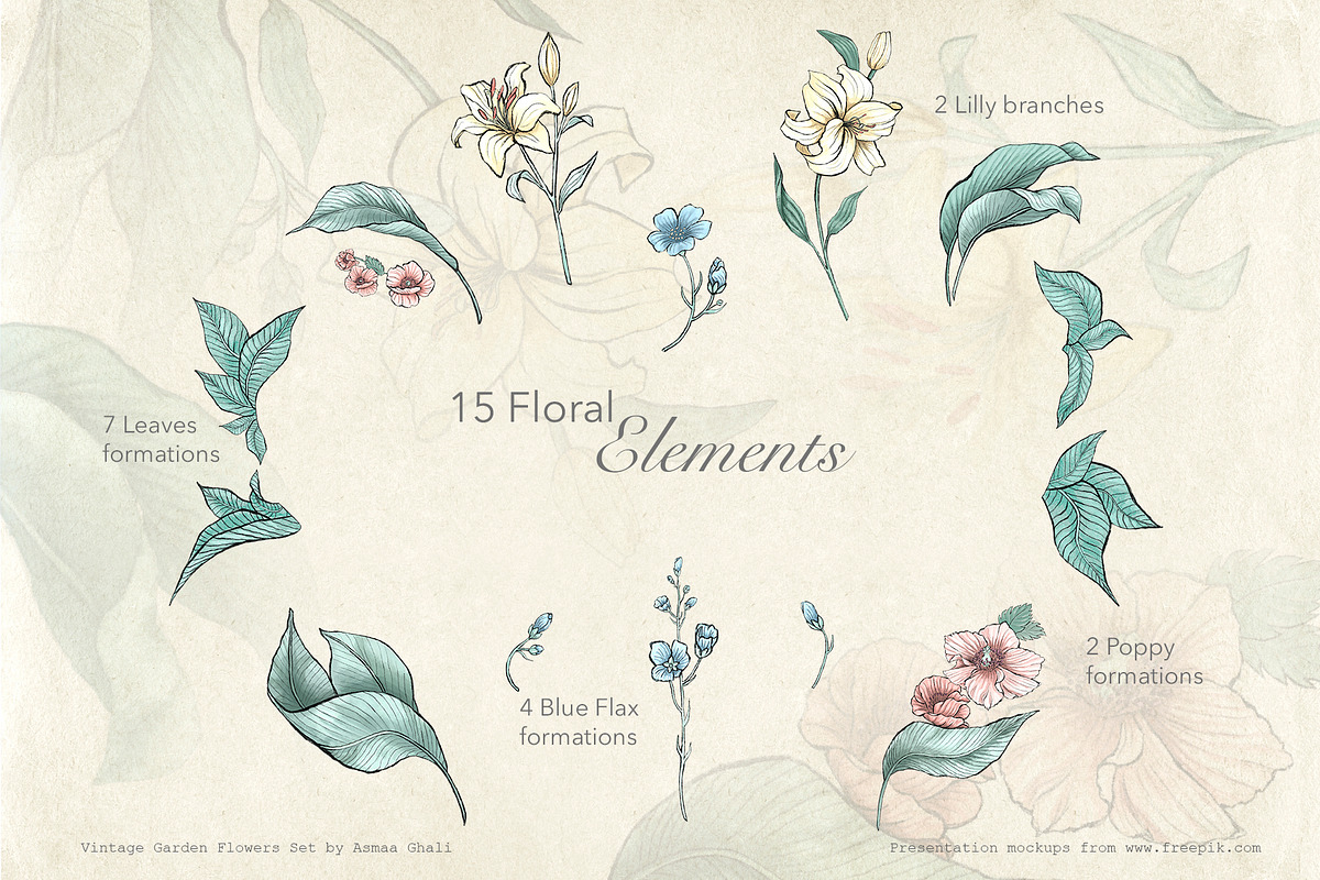 Vintage Garden Flowers, a Decorative Illustration by Evenif (Photo 8 of 22)