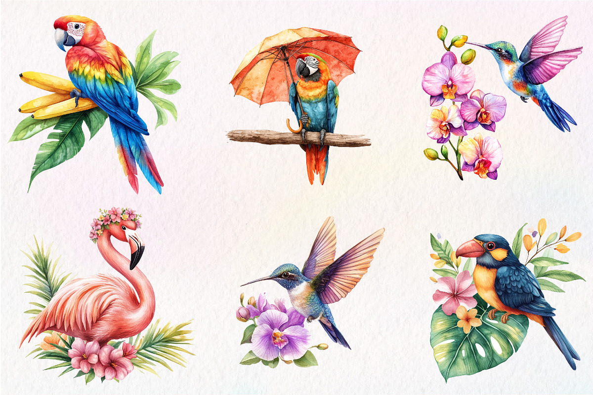 Tropical Bird Png, Jungle Bird Clipa, an Illustration by CreationArt (Photo 8 of 9)