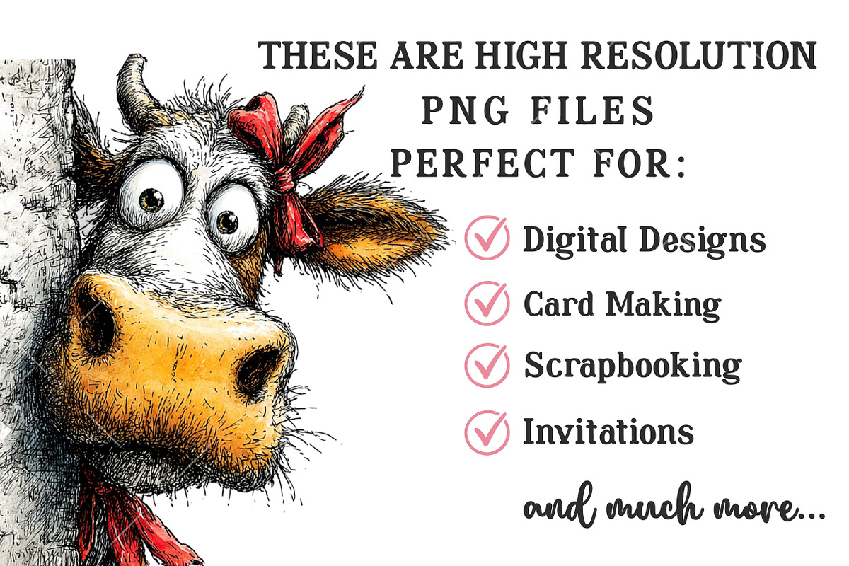 Funny Peeking Valentine Cow Clipart, an Illustration by OK Design (Photo 6 of 6)
