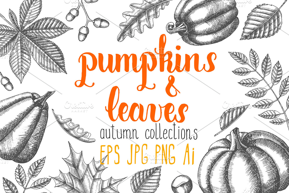 Pumpkins and Leaves Set, an Illustration by Tabiti (Photo 1 of 14)