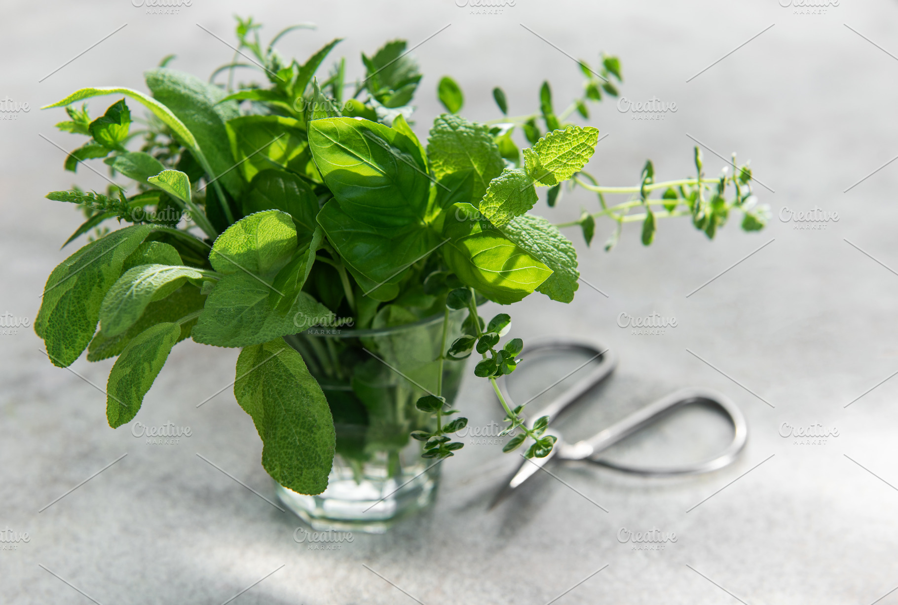 Fresh herbs bouquet in glass with scissors, a Food & Drink Photo by Olena Rudo