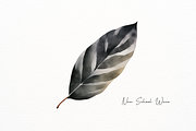 Vibrant Leaves Clipart, an Object Illustration by New-School-Wave (Thumbnail 4 of 5)