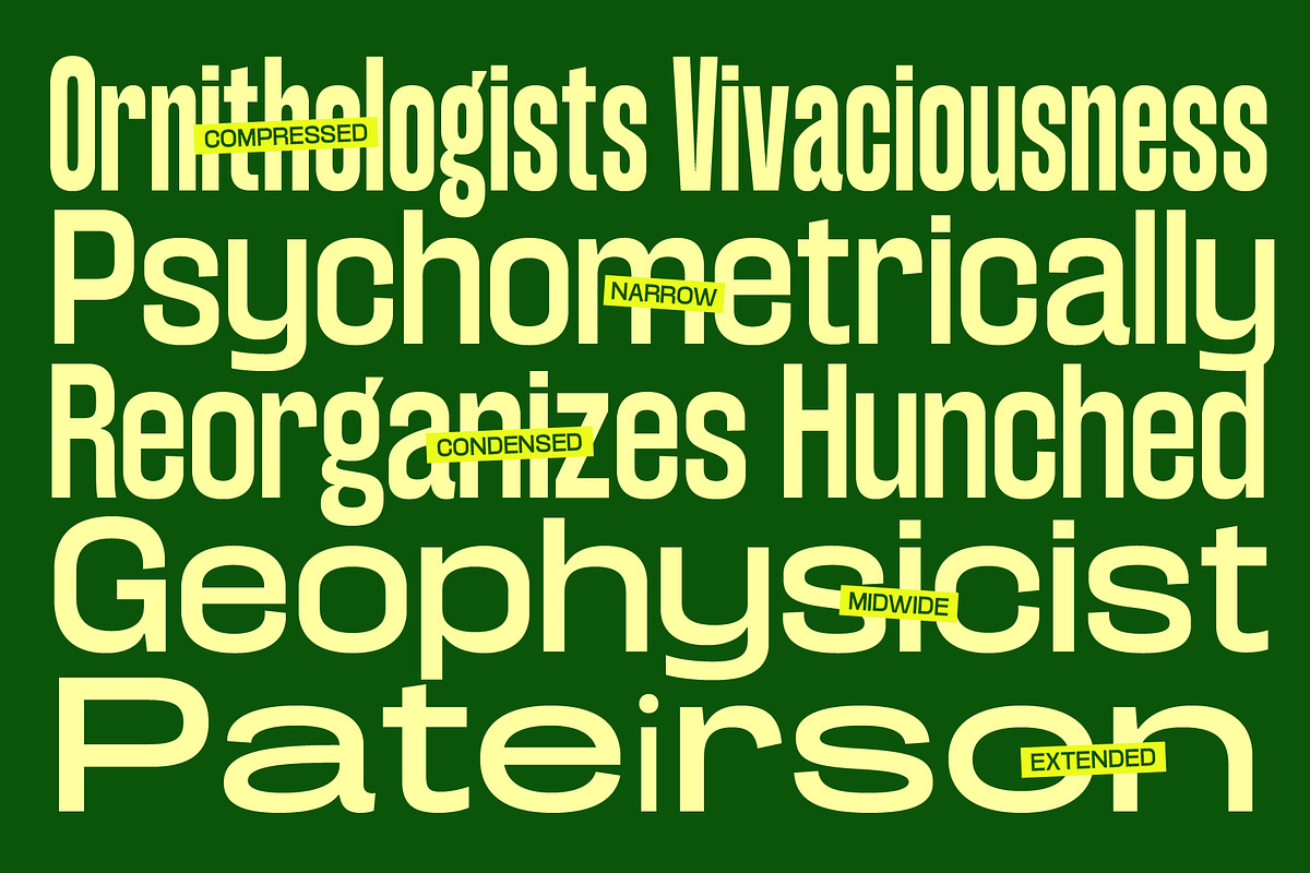 Konsumed - Blurred Sans Family, a Sans Serif Font by The Native Saint Club (Photo 8 of 16)