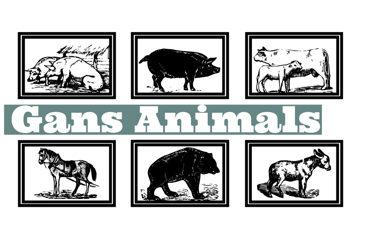 Gans Animals