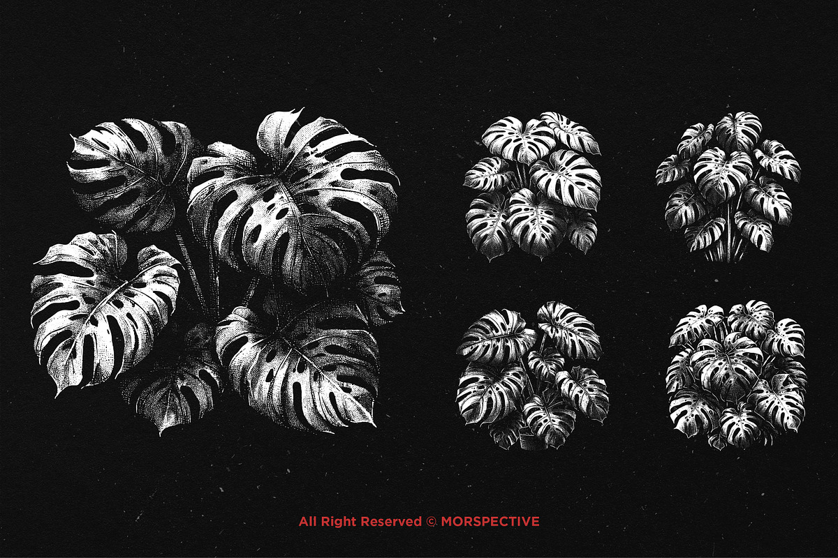 10 Bundle Dark Art Monstera Plant, an Illustration by Morspective (Photo 3 of 7)