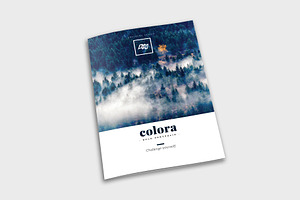 Colora - Bold, Clean Portfolio