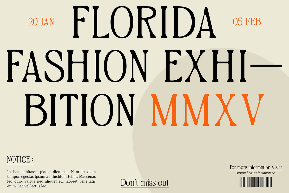 Risley Blur, a Serif Font by Craft Supply Co. (Photo 3 of 8)