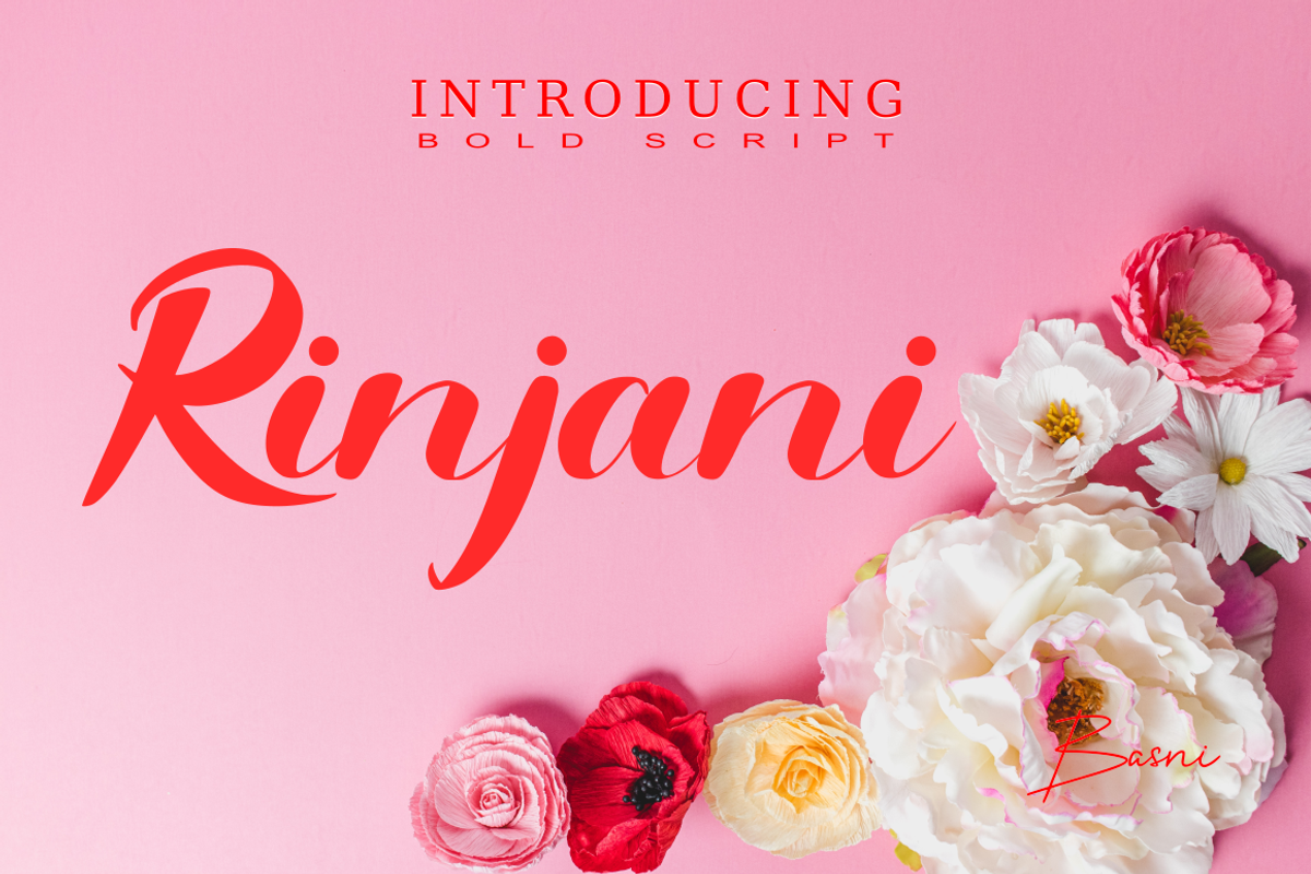 Rinjani a Bold Sript font, a Script Font by Basnistudio (Photo 2 of 6)