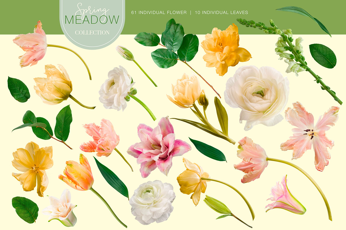 Meadow Floral Clipart Collection, an Object Graphic by Eclectic Anthology (Photo 10 of 12)
