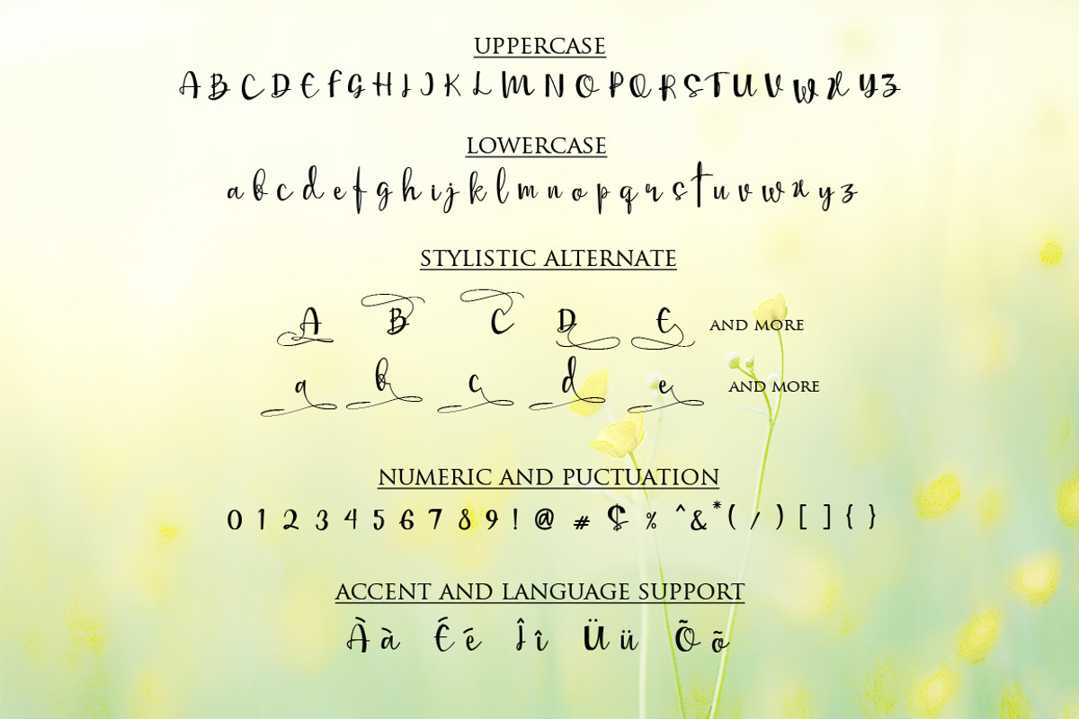 Mellisa Calligraphy Font preview 2
