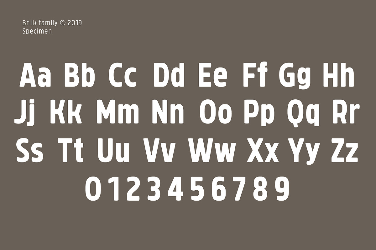 Brilk, a Sans Serif Font by Typesketchbook Foundry (Photo 7 of 9)