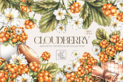 Cloudberry. Watercolor collection, a Food Illustration by SashaKondr (Thumbnail 1 of 13)