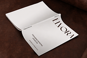 Corgeno Modern Elegant Sans Font, a Sans Serif Font by Rasio Studio (Thumbnail 9 of 9)