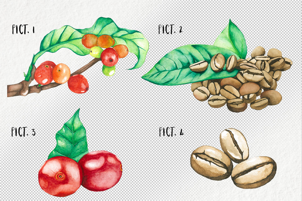 Watercolor Coffee Bean, a Food Illustration by andypray (Photo 2 of 4)