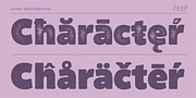 Larrikin, a Sans Serif Font by HeadFirst (Thumbnail 13 of 13)