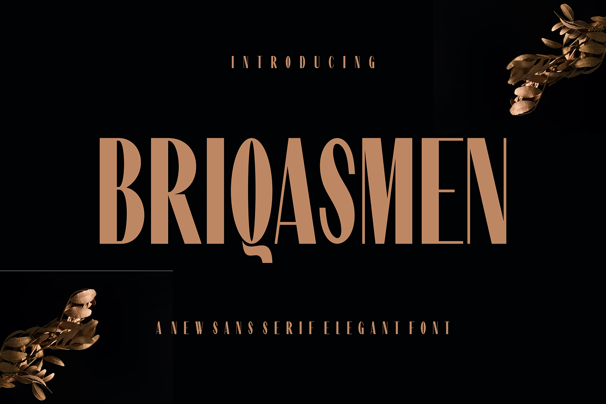 Briqasmen - Font, a Sans Serif Font by artchiles_design (Photo 1 of 5)