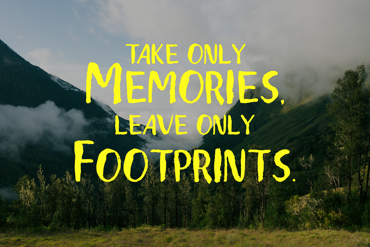 Sandra - Dry Brush Font, a Sans Serif Font by Angin Studio (Photo 6 of 7)