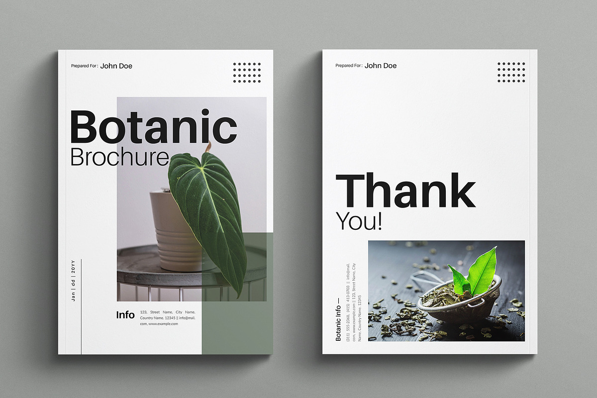 Botanic Multipurpose Portfolio preview 7