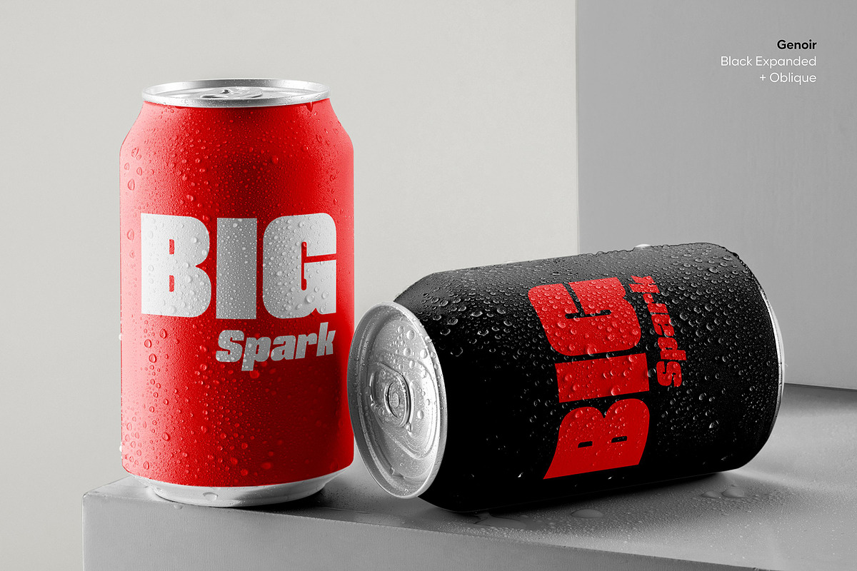 Genoir – Bold Display Font Family, a Font by Digitype Studio (Photo 3 of 10)
