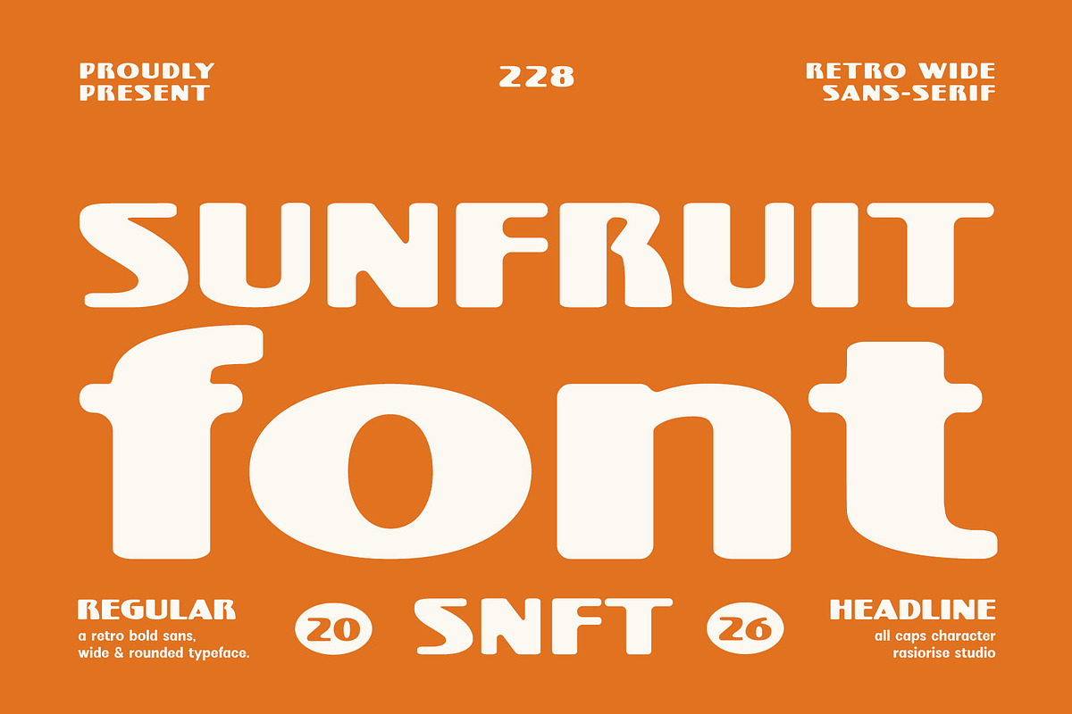 Sunfruit Font, a Sans Serif Font by Rasiorise Studio (Photo 1 of 10)