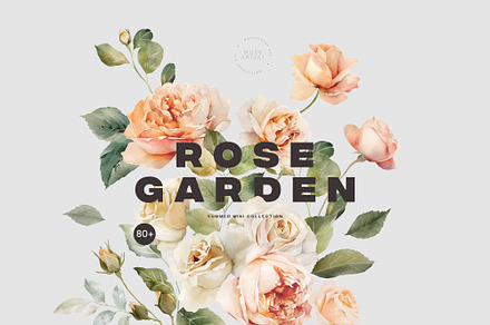 ROSE GARDEN Floral Watercolor Set, a Decorative Illustration by Muse Artist